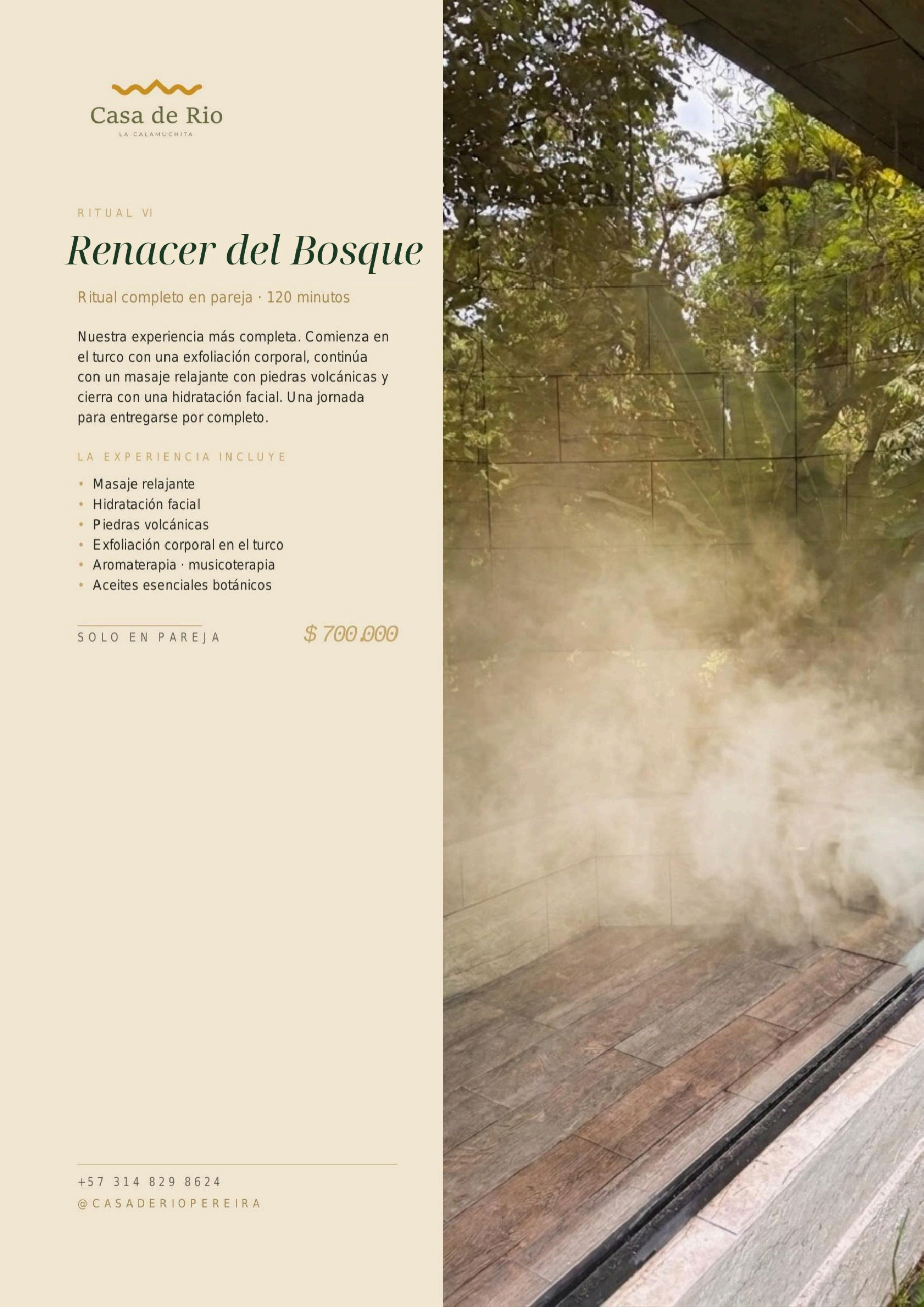 Renacer del Bosque