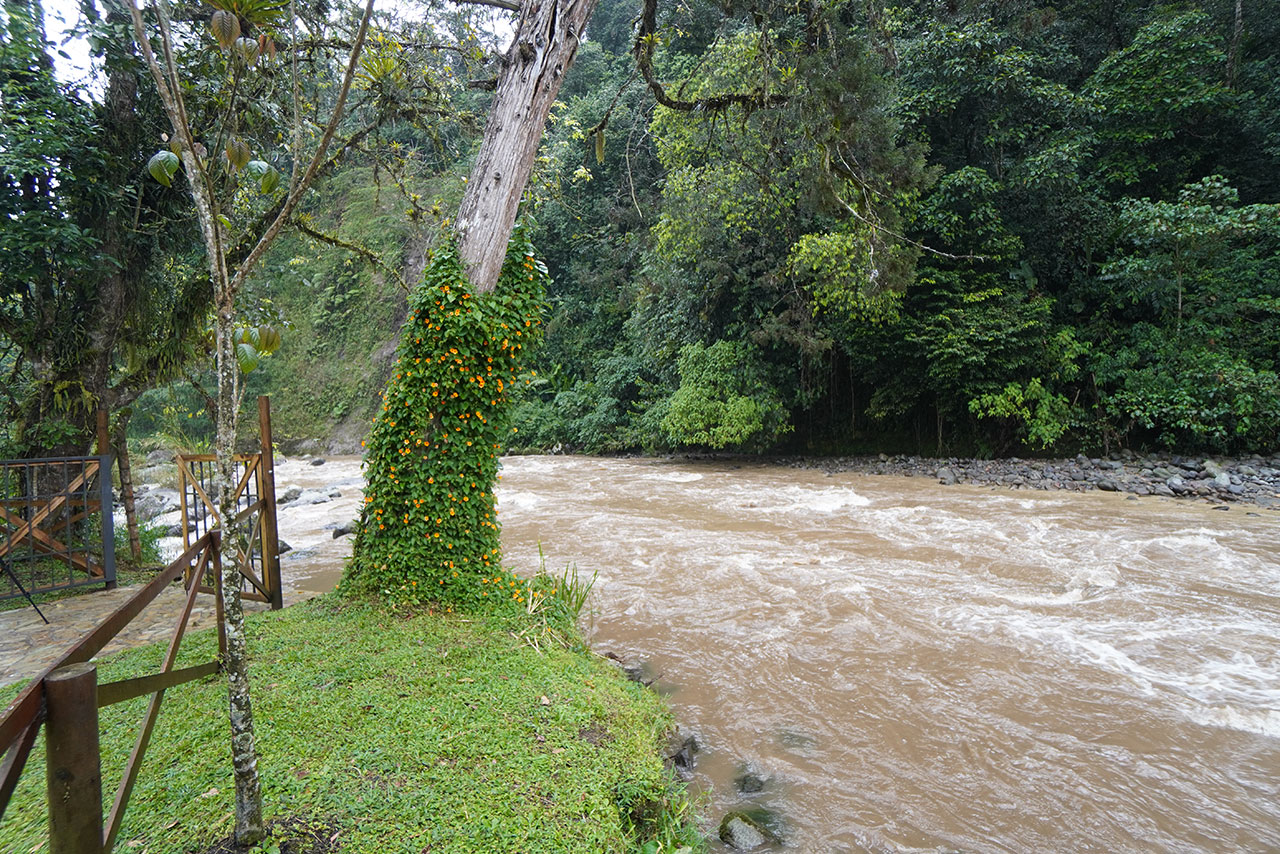 Río 4