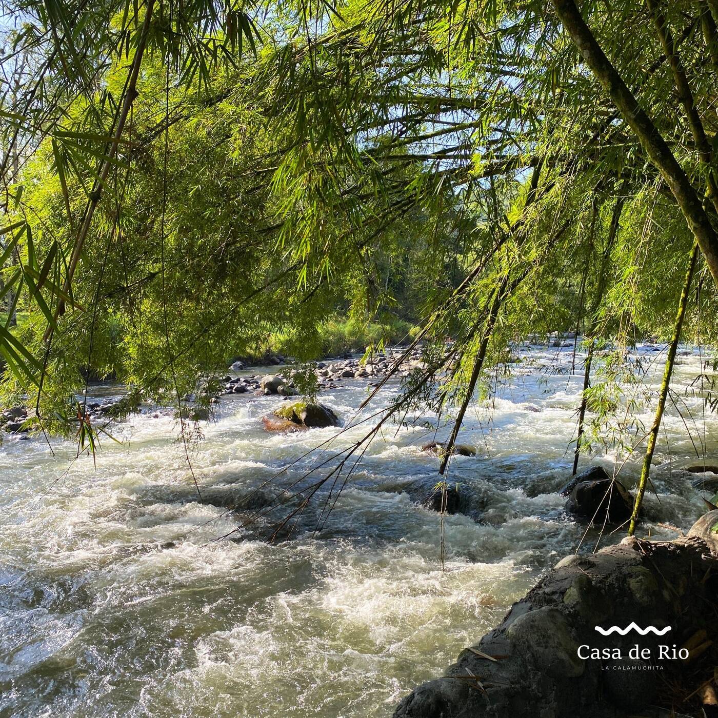 Casa de Río — foto 51